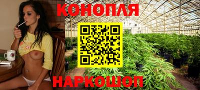 ПСИЛОЦИБИНОВЫЕ ГРИБЫ Кингисепп