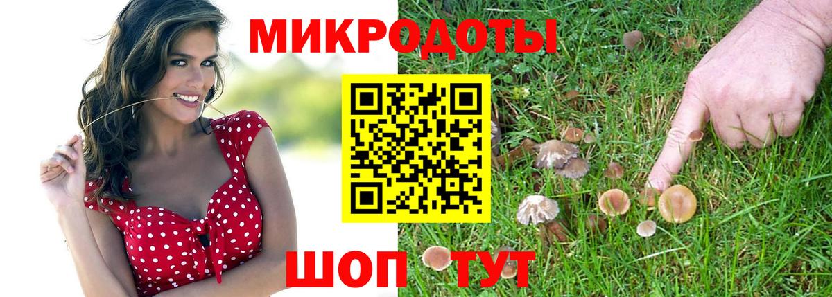 Галлюциногенные грибы мицелий  Вход с VPN  Тулун  Псилоцибиновые грибы Cubensis 