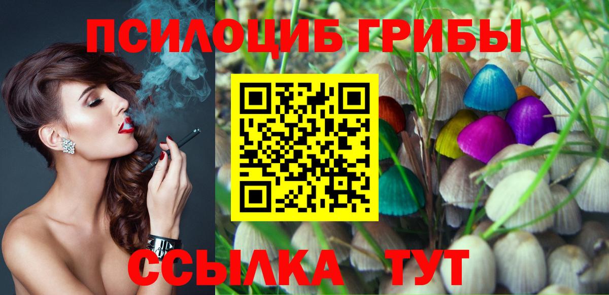 Галлюциногенные грибы Psilocybe Тулун